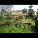 Der holländische Friedhof in Cochin